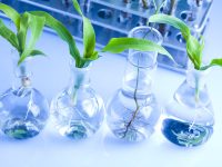 Suspendisse arcu nisl