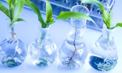 Suspendisse arcu nisl