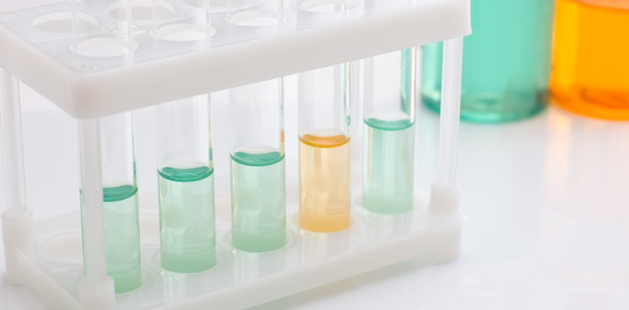 Aliquam congue fermentum